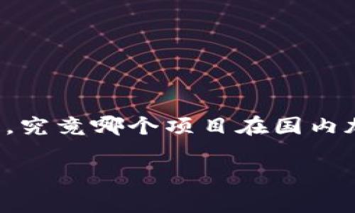 国内加密货币的龙头是一个热门话题，随着加密货币技术的发展和市场的变化，越来越多的人开始关注这个领域。那么，究竟哪个项目在国内加密货币中占据龙头地位？本文将详尽剖析这一主题，探讨当前国内加密货币的市场状况，以及相关关键字和常见问题。

国内加密货币的龙头：市场分析与发展前景